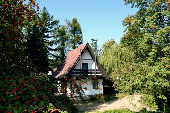 Piętrowy domek z czerwonym dachem wśród jarzębin