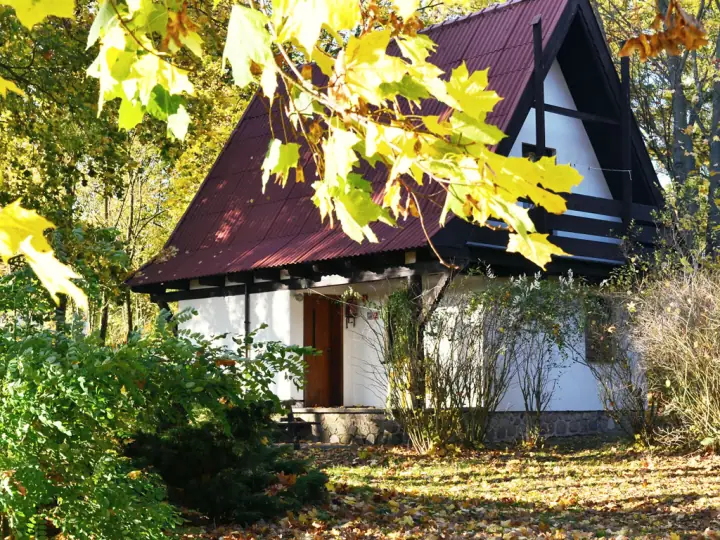 Domek piętrowy jesienią, na pierwszym planie żółte liście klonu