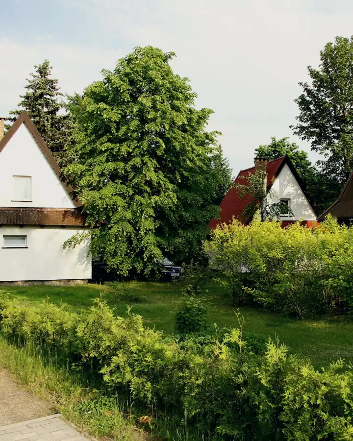 Kilka domków piętrowych wśród zieleni